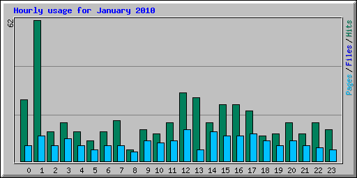 Hourly usage for January 2010